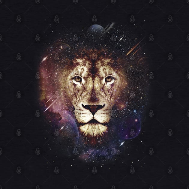 Galaxy Lion Head by monolusi